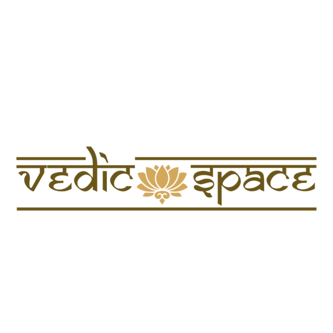 Vedic Space logo